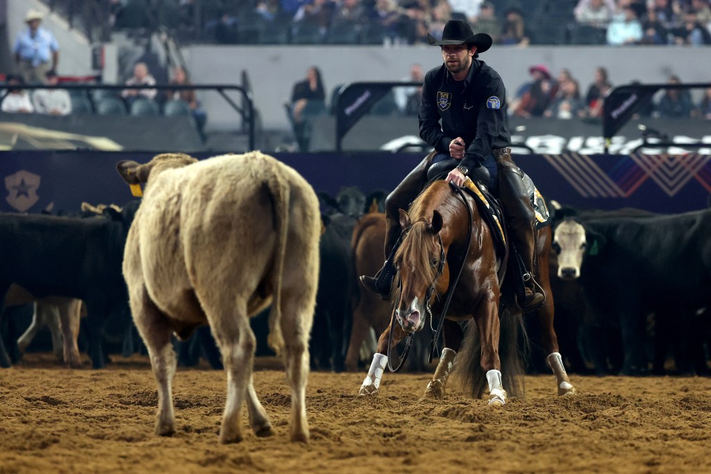 Adan Banuelos, riding Storyteler, competes in the cutting event during The American Performance Horseman by Teton Ridge at Globe Life Field on March 08, 2024 in Arlington, Texas. 